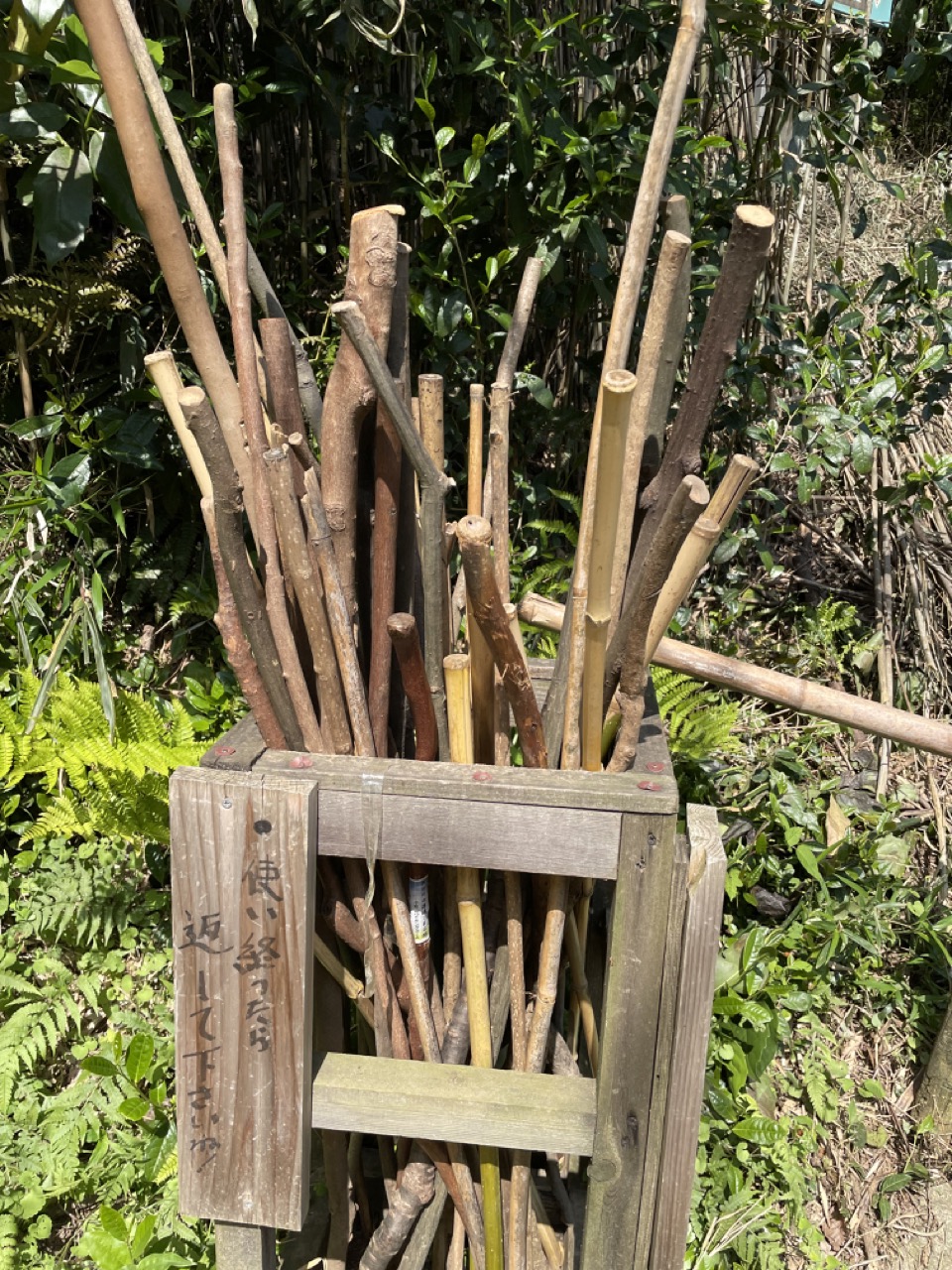 用意されている杖