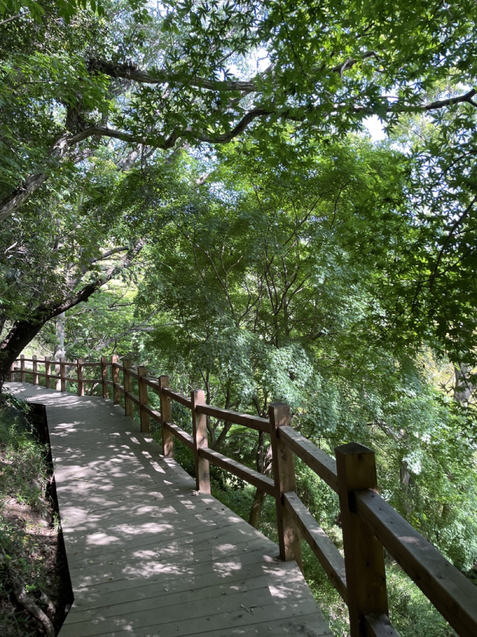 ハイキングコース