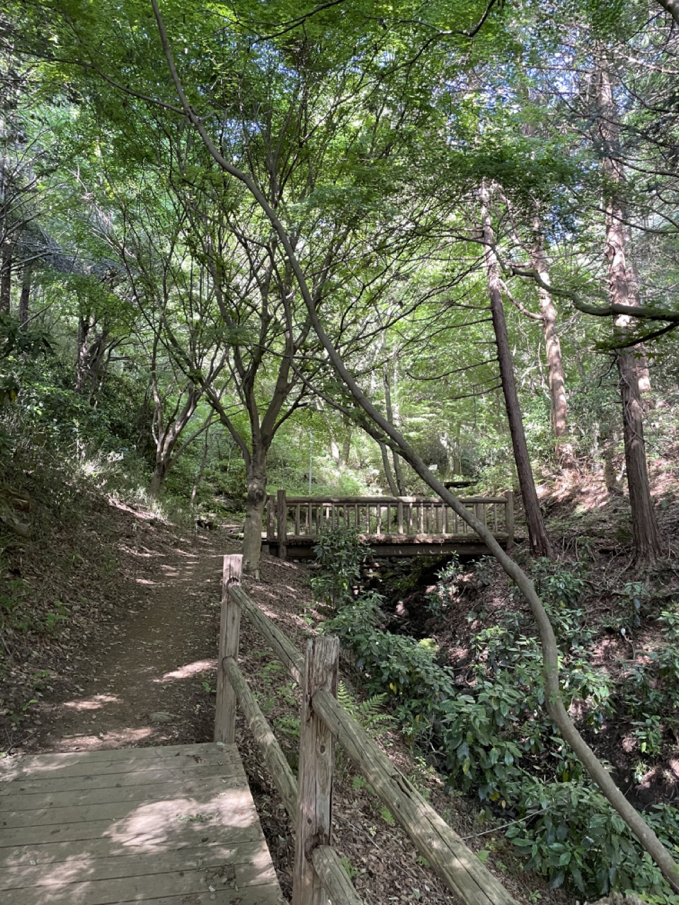 ハイキングコース