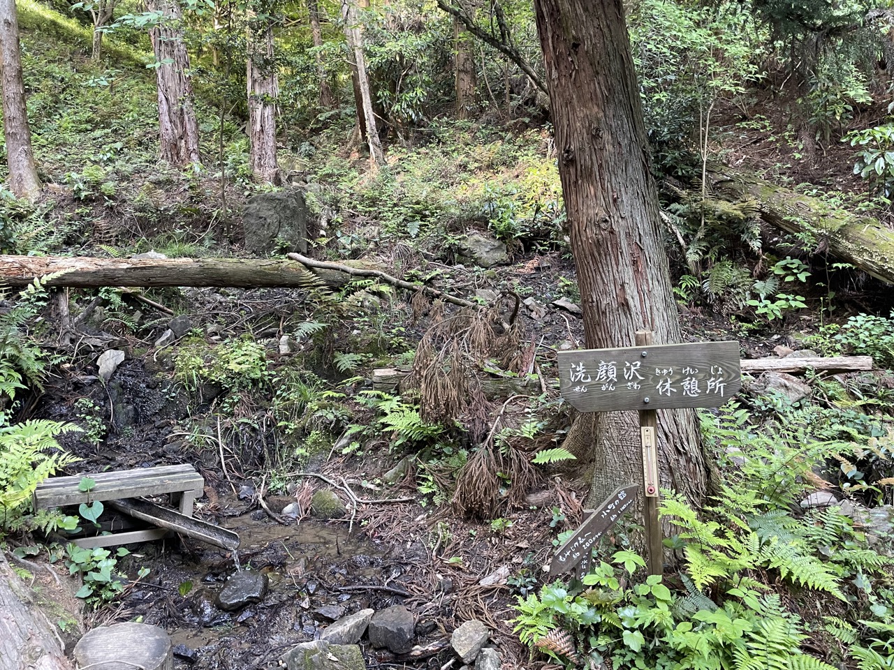 ハイキングコース