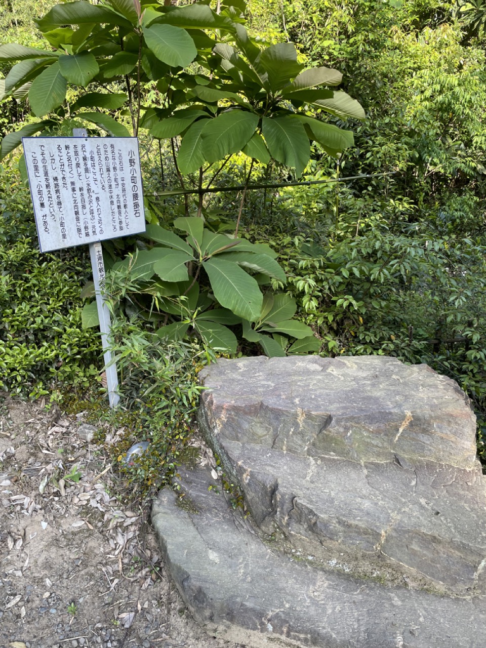 小町の腰掛け石